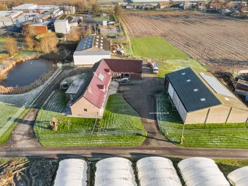 Landelijke Villa met 5 slaapkamers en 2 Loodsen te koop