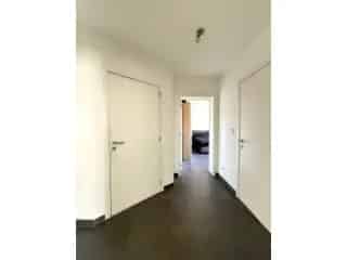 Gelijkvloers Appartement te Huur Buggenhout 1 Slaapkamer