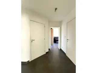 Gelijkvloers Appartement te Huur Buggenhout 1 Slaapkamer