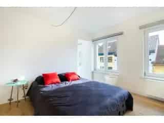 Appartement Medehuur Sint-Gillis 8 slaapkamers