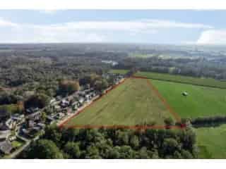 Landbouwgrond te koop Blaasveld 39 ha