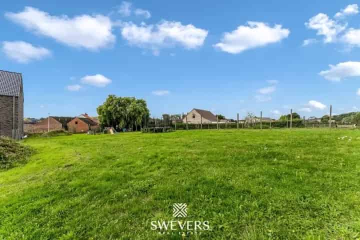 Bouwgrond Leenhaag Zoutleeuw 8a 86ca
