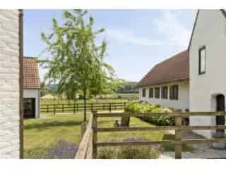 Fermette te koop Wortegem Petegem: hoevewoning met bijgebouw, stallen en weides