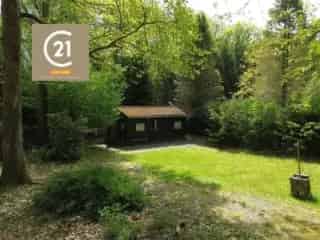 Chalet te koop Bruly-de-Pesche - 30m² boschalet te renoveren