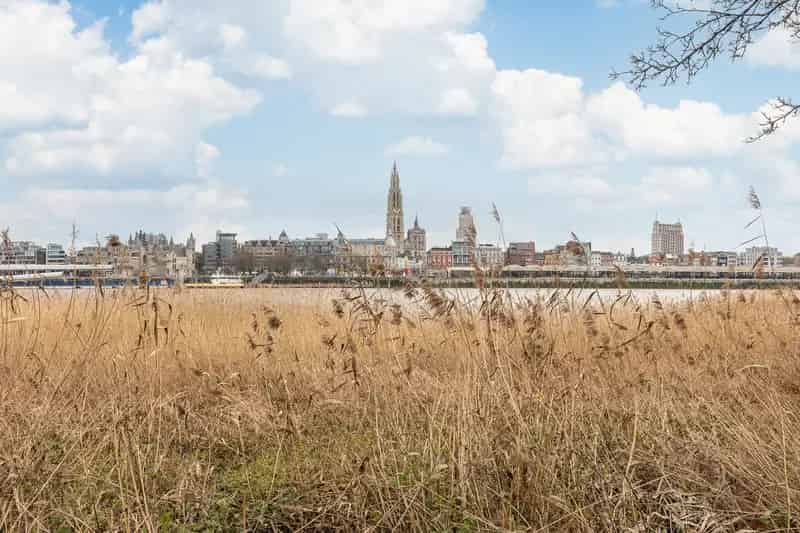 Appartement te huur Antwerpen Linkeroever Schelde zicht