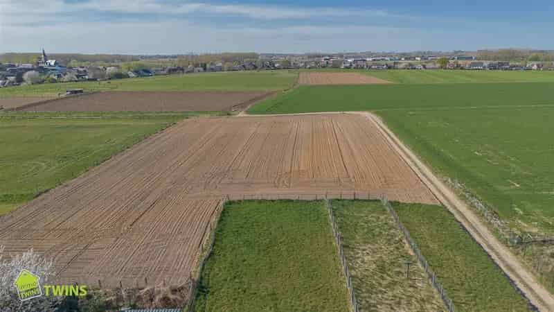 Bouwgrond Ninove - Halfopen Bebouwing - 1210m²