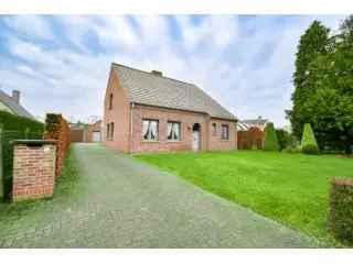Villa te koop Wingene 3 slaapkamers grote tuin