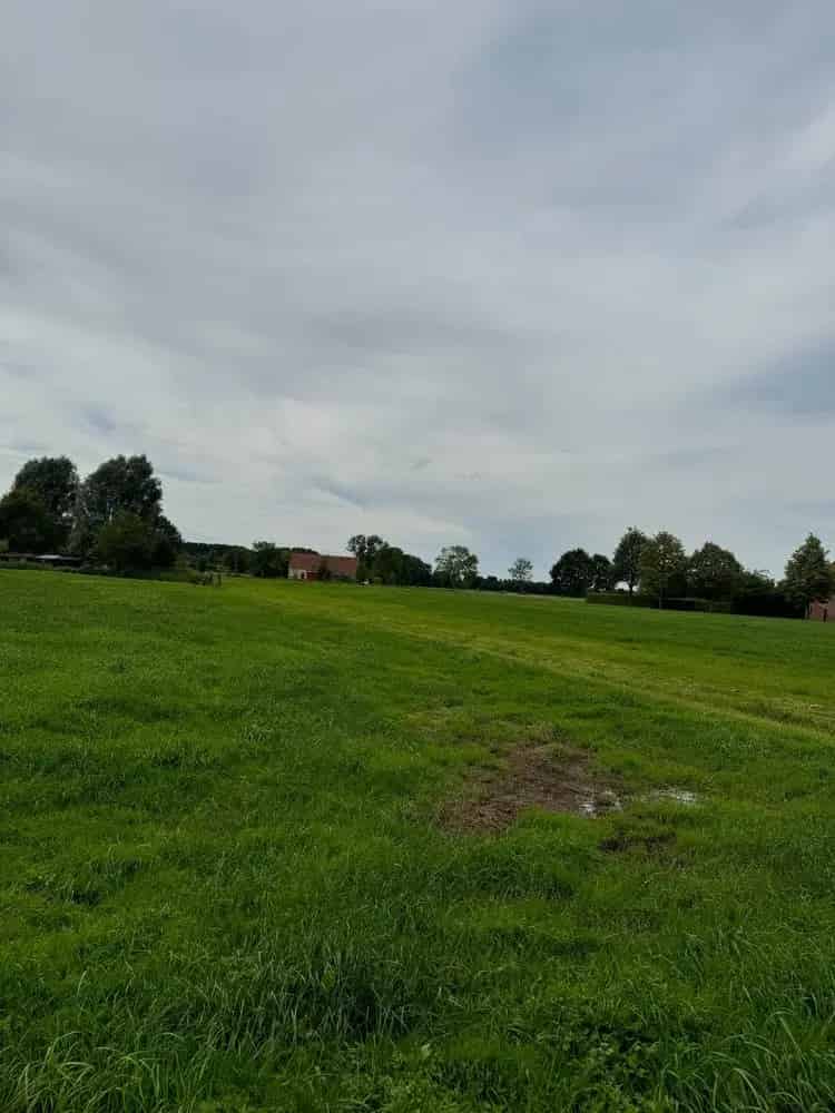 Bouwgrond met Weiland 33 are