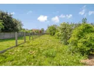 Huis te koop Herzele - Instapklare woning met garage en tuin