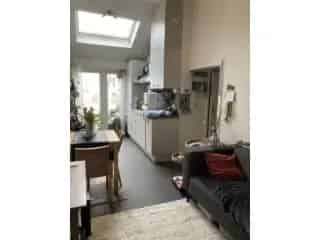 Studio te huur Gent - 1 slaapkamer - Energiezuinig - Zonnige koer