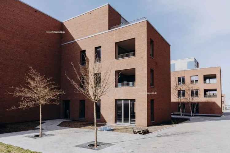 Nieuwbouw gelijkvloersappartement te koop in Hasselt