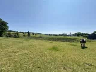 Grond te Koop Sainte-Ode Tillet - Prachtig perceel in de Ardennen