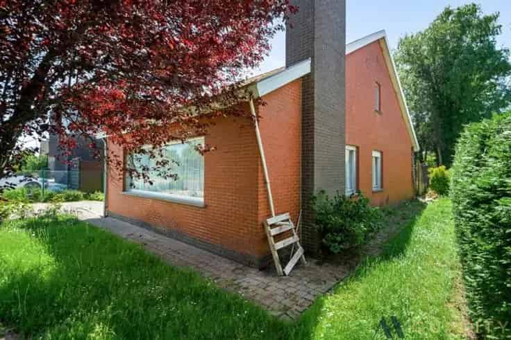 Te renoveren Bungalow 2 slaapkamers Ruim Perceel Scheldedijk