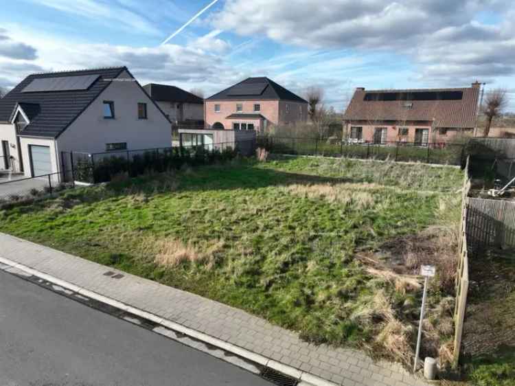 Nieuwbouw huis te koop in Rollegem