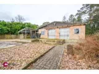 Bungalow te renoveren Haacht - Vakantiewoning in groene omgeving