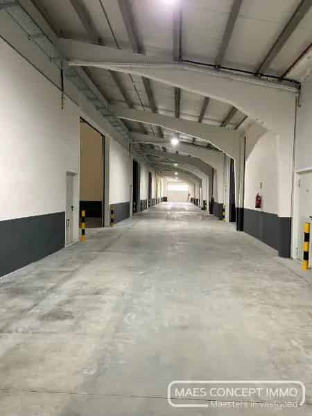 Opslagruimtes te huur Anzegem 150m2