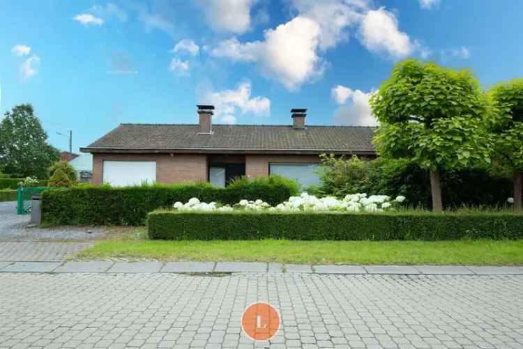 Huis te koop Heestert 3 slaapkamers Wonen en Werken