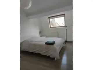 Appartement Elsene - gerenoveerd - nabij EU Schuman
