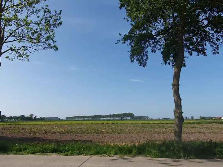 Perceel bouwgrond voor villabouw  -  Lot 3