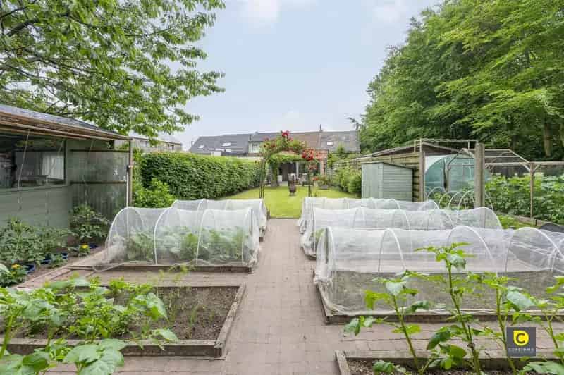 Huis te koop Broechem: Instapklare woning met tuin