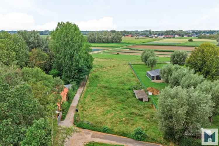 Te koop weide in Lebbeke met volledige aanbod