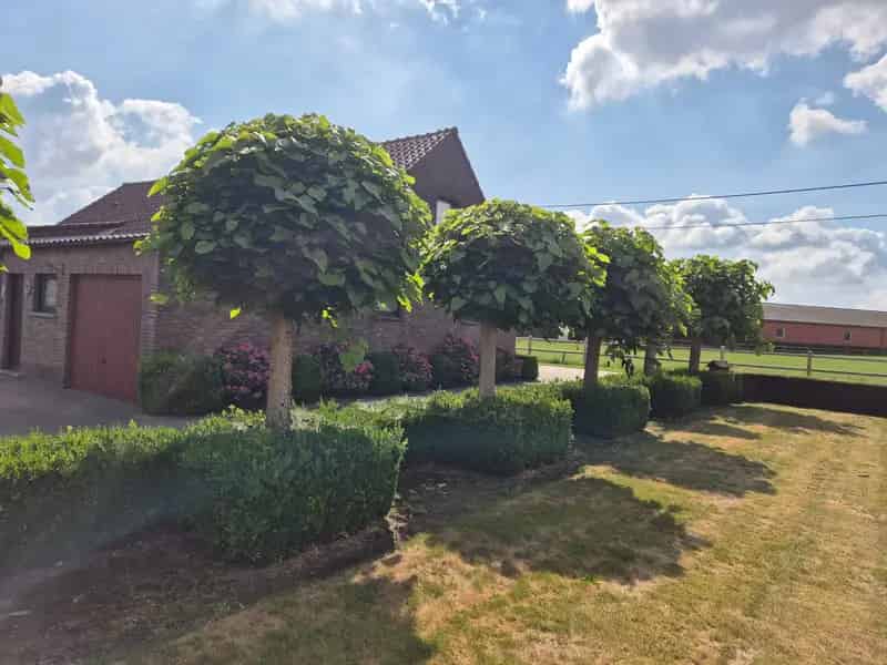 Huis te huur Meer 2 slaapkamers grote tuin