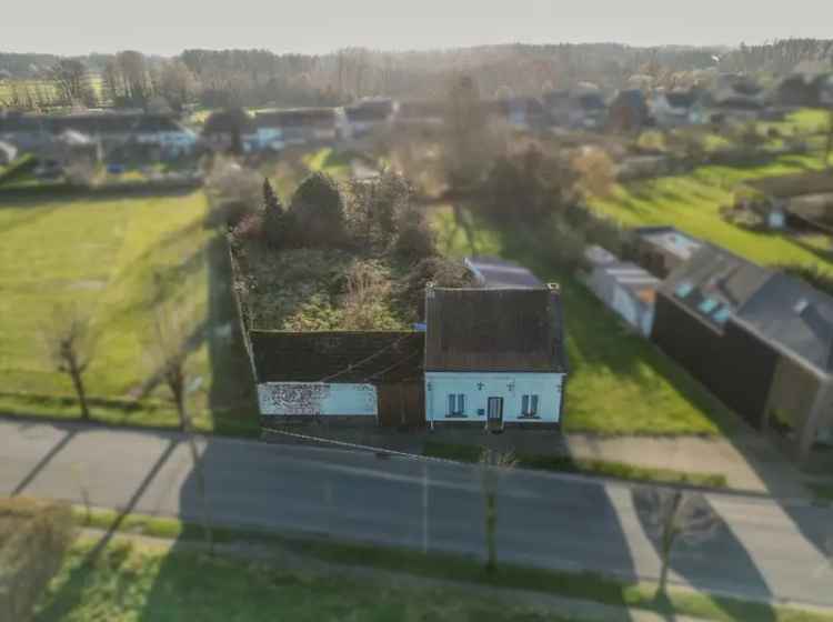 Grond Te Koop , 19, Essestraat, Lede, Oost-Vlaanderen