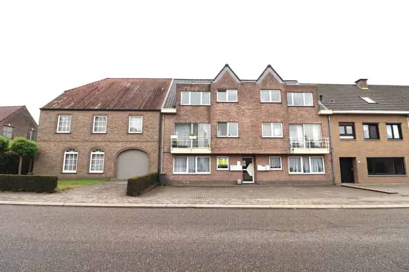 Gelijkvloers Appartement te huur Elversele 2 slaapkamers