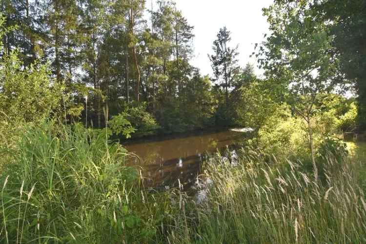 Koop recreatiegrond in Begijnendijk met 2 vijvers