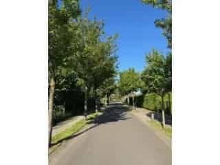 Olea Woningen Olen