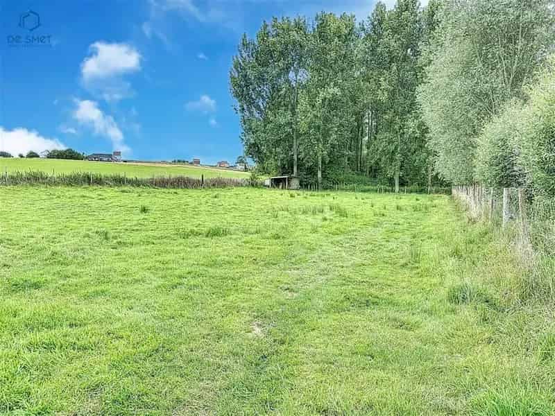 Landbouwgrond te koop Lierde 31a30ca