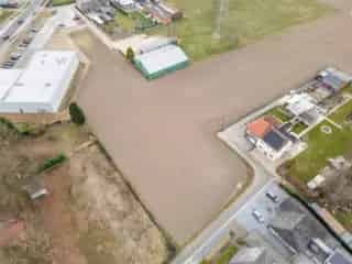Landbouwgrond te Koop Bree 45a 07ca
