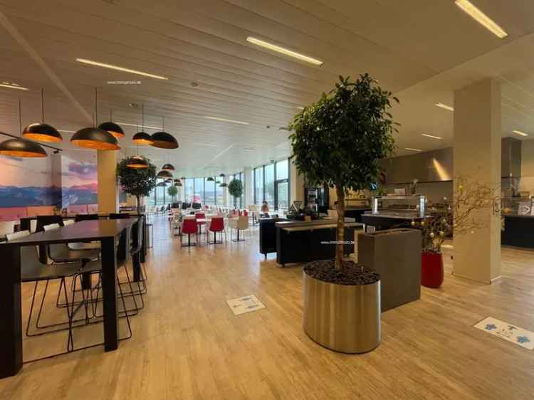Kantoorruimte te huur Skyline40 Erembodegem 712m²