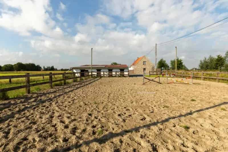 Paardenhoeve te koop Diksmuide 5 slaapkamers
