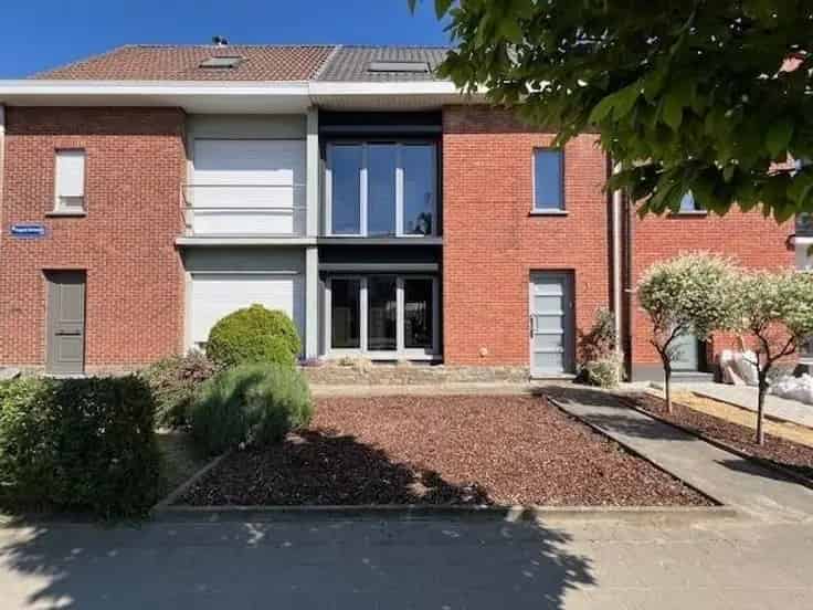 Huis Te Koop in Niel: 4 slaapkamers, moderne badkamer