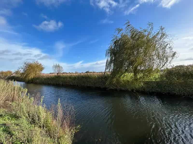 Bouwgrond Wachtebeke Hof Langelede