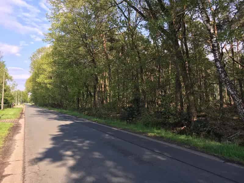 Bosgrond 3 ha te koop 127m straatbreedte