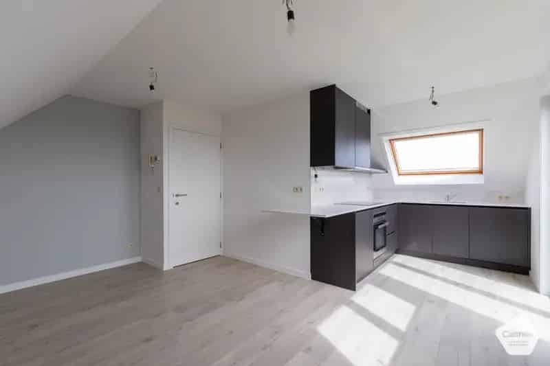 Gerenoveerd Appartement Oostduinkerke Panoramisch Uitzicht