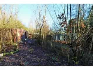 Chalet te renoveren Sautour 2 slaapkamers