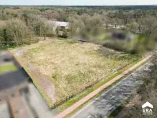 Bouwgrond te Koop Hechtel Rustig Bosrijke Omgeving