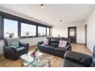 Appartement te koop - Zelzate RBT31770