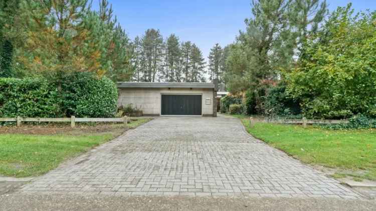 Architecturale woning in de groene natuur te OLEN