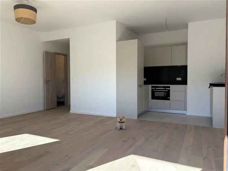 Appartement Te Koop Watermael-Boitsfort 1 Slaapkamer Terras