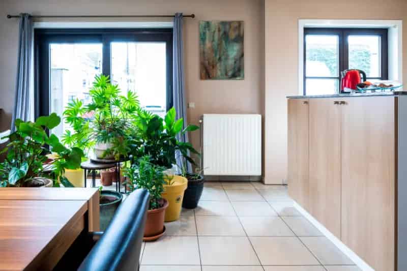 Appartement te koop Roeselare 83m² 1 slaapkamer