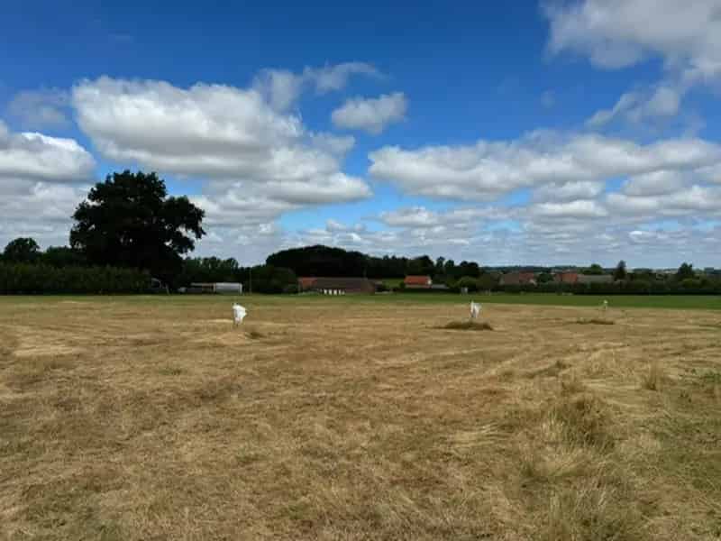 Bouwgrond Kortenaken 631m² Open Bebouwing