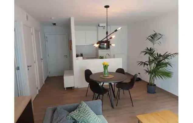 Huur 1 Slaapkamer Appartement 67m² Brussel