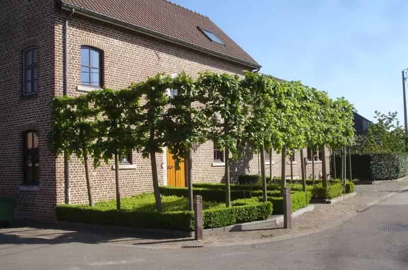 Huis te huur Hasselt Vierkantshoeve 341m²