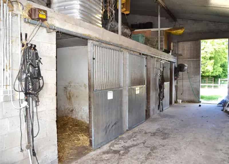 Paardenstalling te huur 4 boxen piste weides