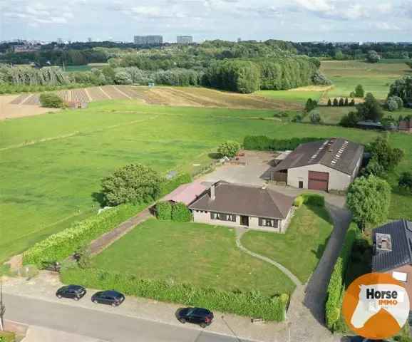 Te koop villa in Dilbeek met grote loods