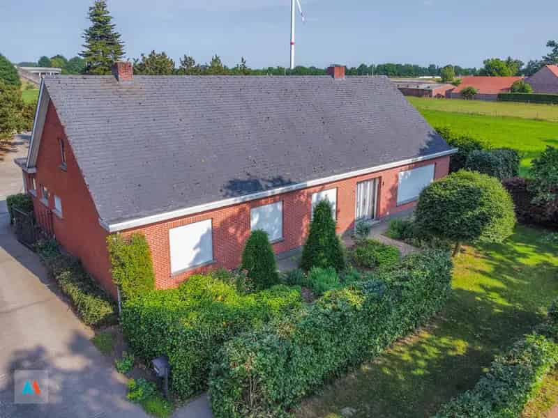 Vrijstaande woning met stal te Brecht 24 ha